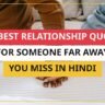 25+ Best Relationship Quotes For Someone Far Away You Miss In Hindi