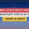 25+ Best Good Night Shayari For WhatsApp Status In Hindi - Short & Sweet