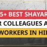 25+ Best Shayari For Colleagues And Coworkers In Hindi