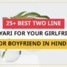 25+ Best Two Line Shayari For Your Girlfriend or Boyfriend In Hindi