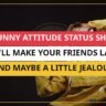 25+ Funny Attitude Status Shayari That'll Make Your Friends Laugh (And Maybe a Little Jealous)