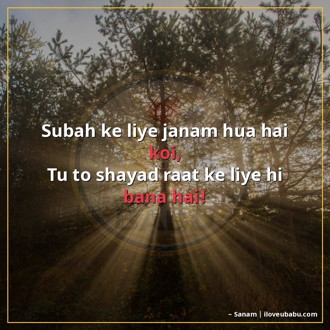 25+ Funny Good Morning Shayari In Hindi That'll Make Them Laugh Instead Of Groan 21 सुबह के लिए जन्म हुआ है कोई,
तू तो शायद रात के लिए ही बना है