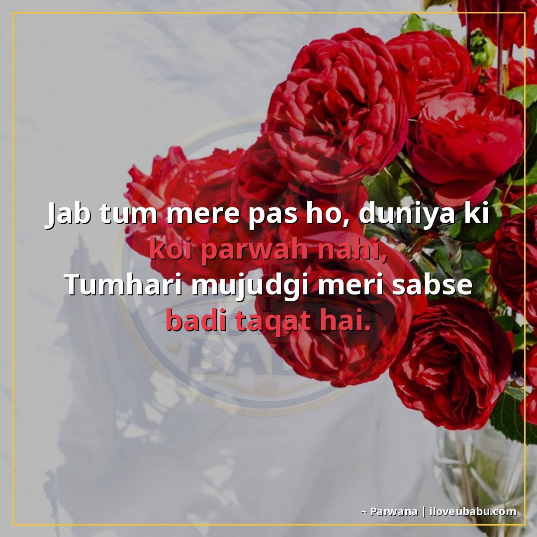 जब तुम मेरे पास हो, दुनिया की कोई परवाह नहीं,
तुम्हारी मौजूद