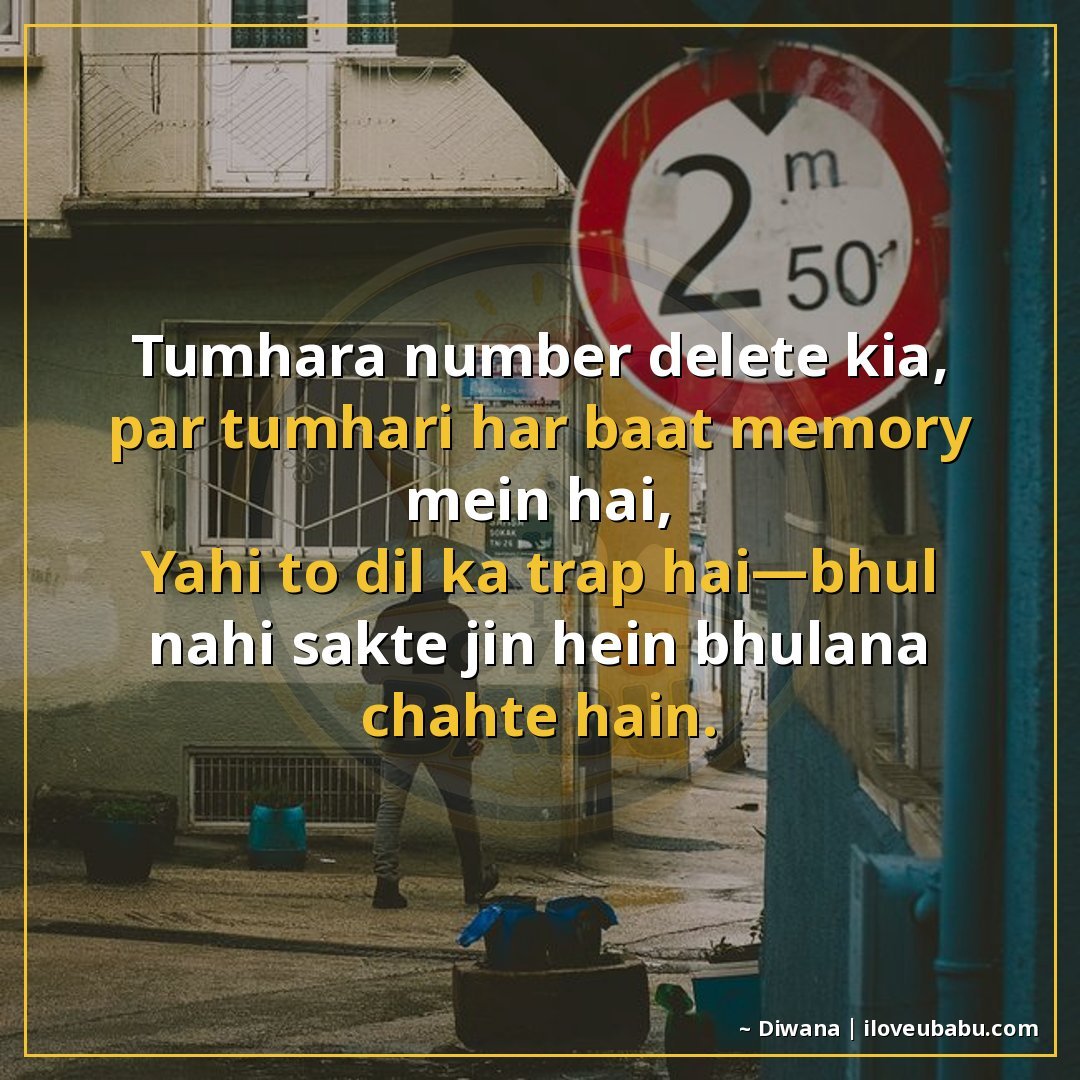 25+ Funnily Sad Shayari About Breakups That'll Make You Laugh-Cry In Hindi 16 तुम्हारा नंबर delete किया, पर तुम्हारी हर बात memory में है,