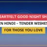 25+ Heartfelt Good Night Shayari In Hindi – Tender Wishes For Those You Love